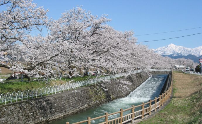 「疏水フォーラムin常西用水2023」開催のお知らせ