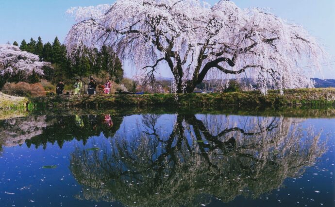 第３回水が伝える豊かな農村空間 疏水・ため池のある風景 写真コンテストの応募を開始しました。